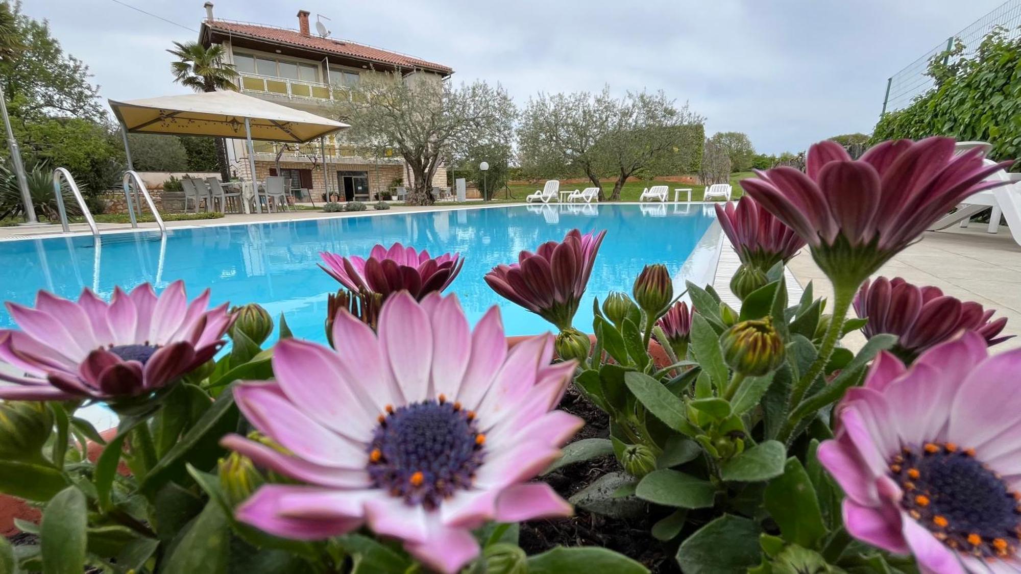 Bed and Breakfast Pansion Margerita à Poreč Extérieur photo
